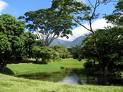 A Forest Inventory in Venezuela